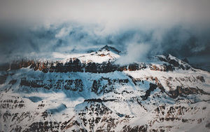 Meet your Posher, Cohen